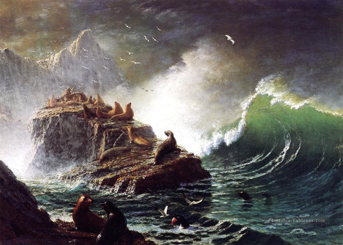 Sceaux sur les rochers Îles Farallon luminisme paysage marin Albert Bierstadt Peintures à l'huile